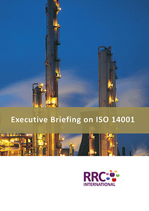 Executive Briefing on ISO 14001 Book Image