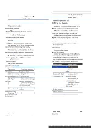 IDEM RG Page 4 600