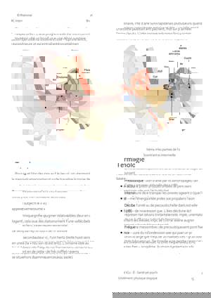 Unit IG2 French Page 1