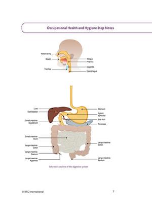 Health And Hygiene Notes.pdf Occupational Health & Hygiene Step Notes